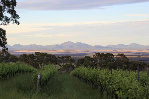 Castle Rock Estate Winery
