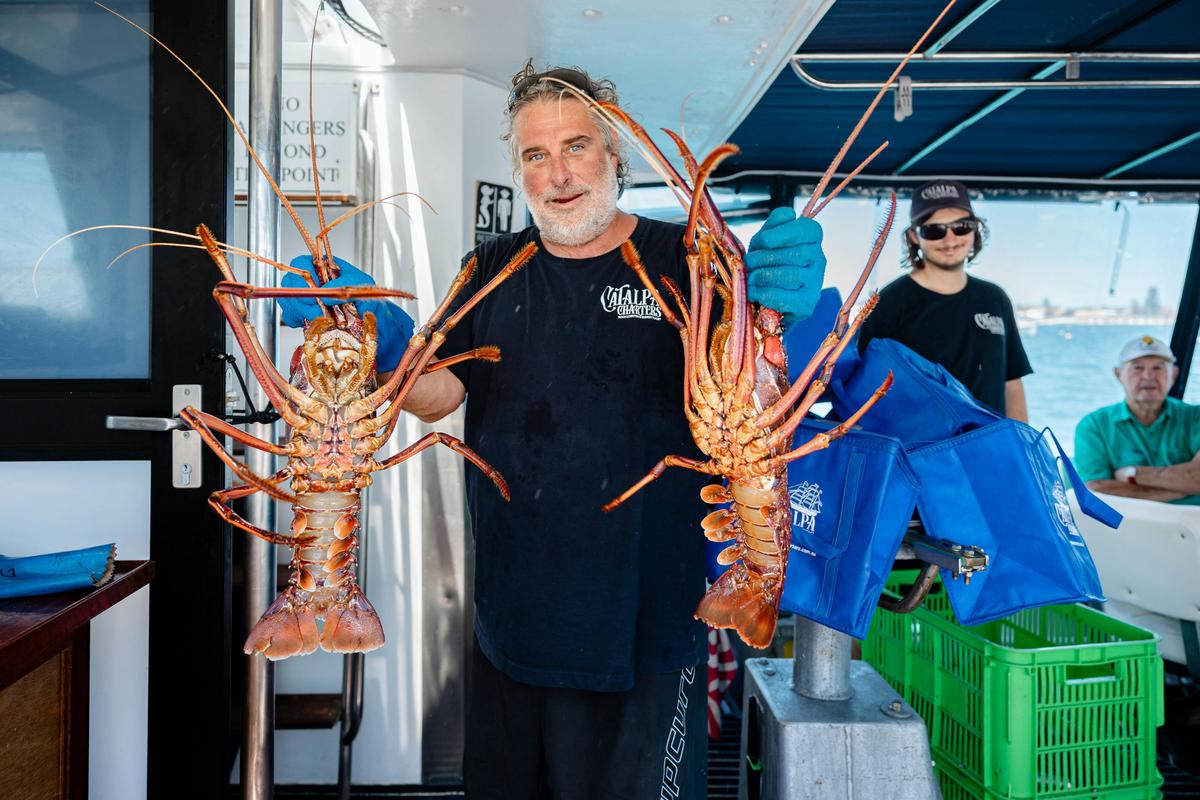 Western Rock Lobster catch and Keep Tour