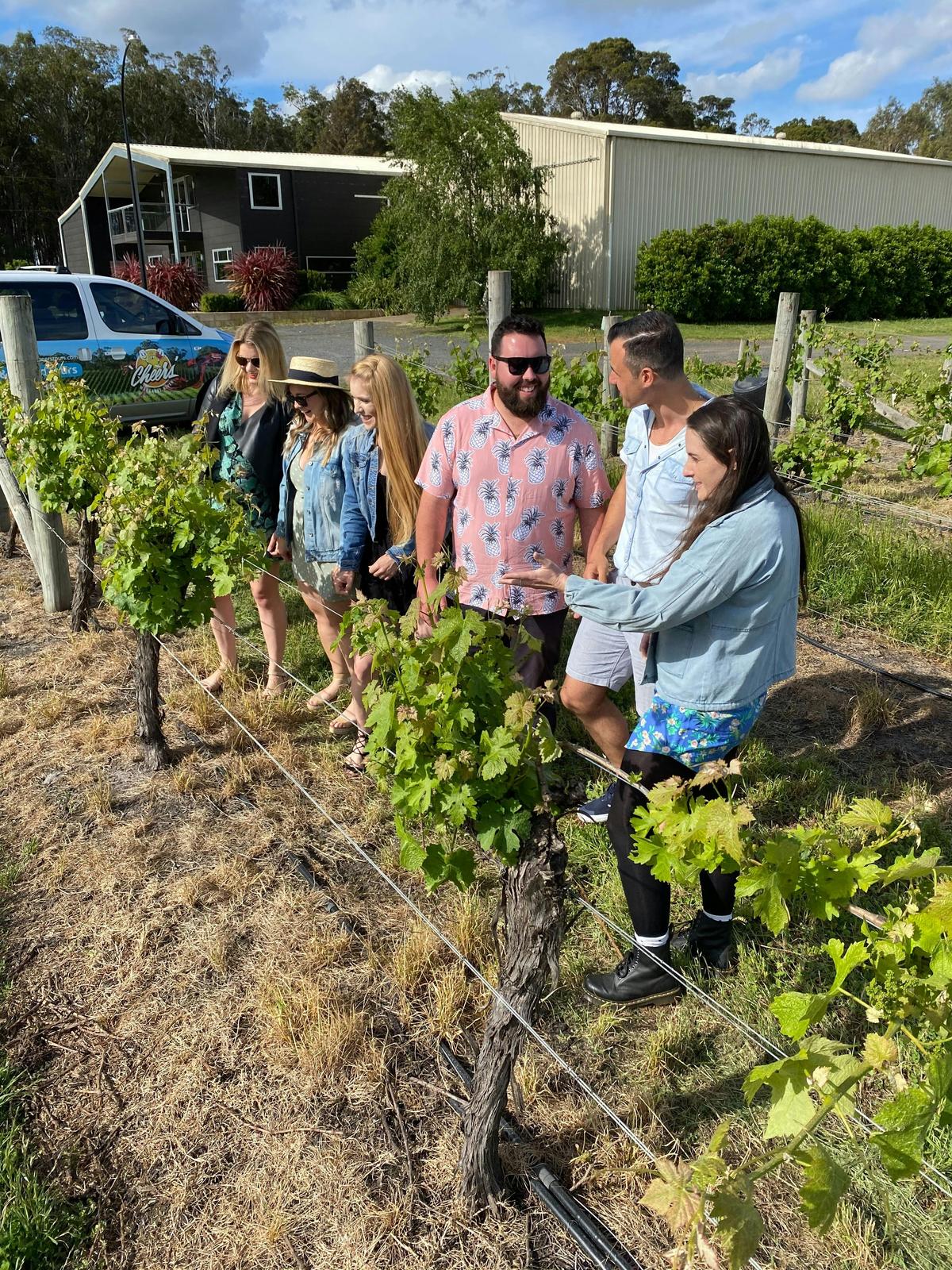 Get Amongst the Vines