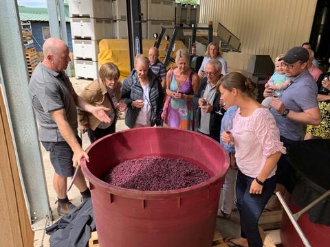 Cheers Winery and Scenic Tours