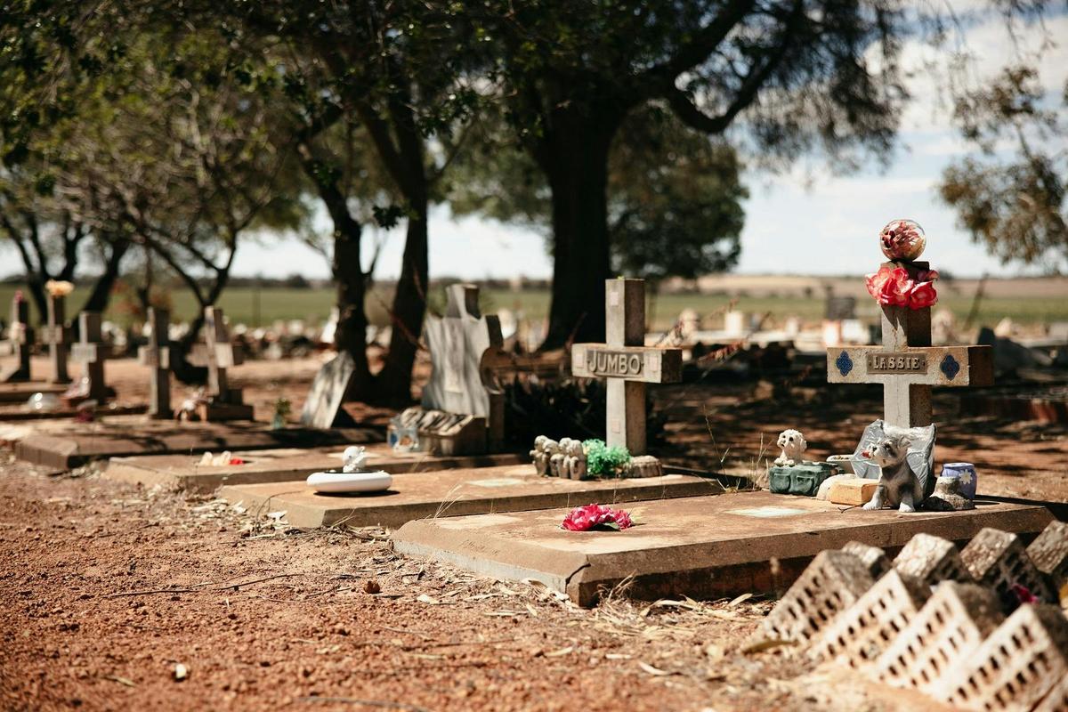 Corrigin Dog Cemetery