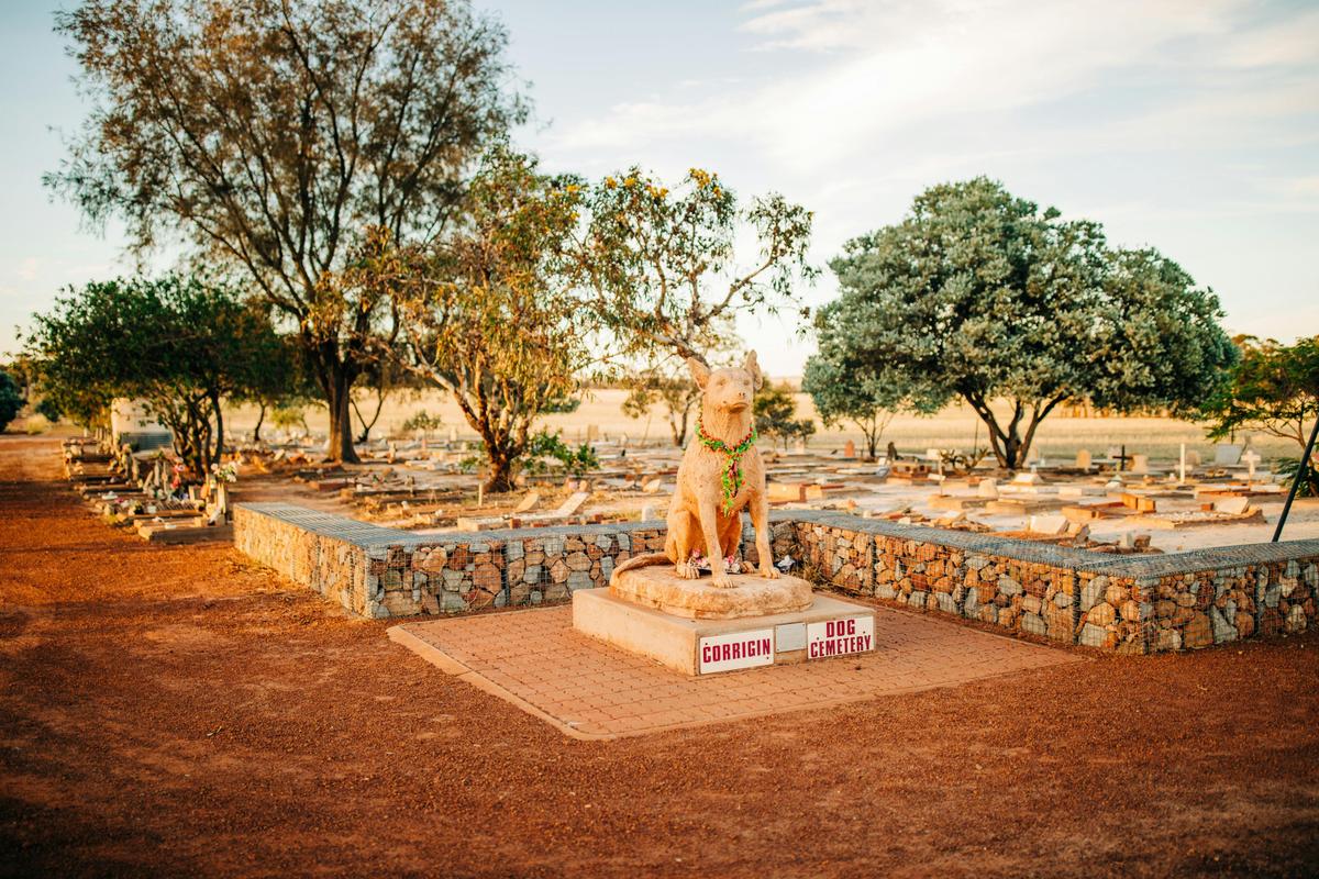 Corrigin Dog Cemetry