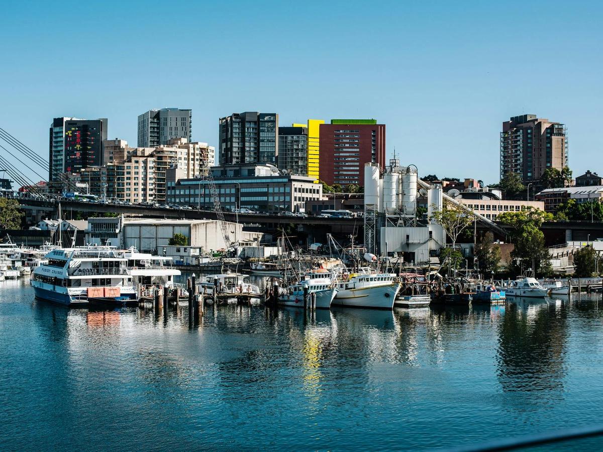 Pyrmont Bridge View