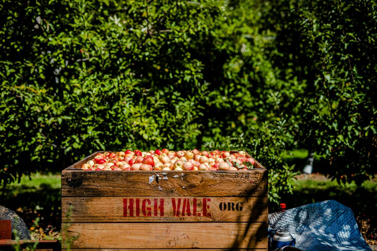 Core Cider House