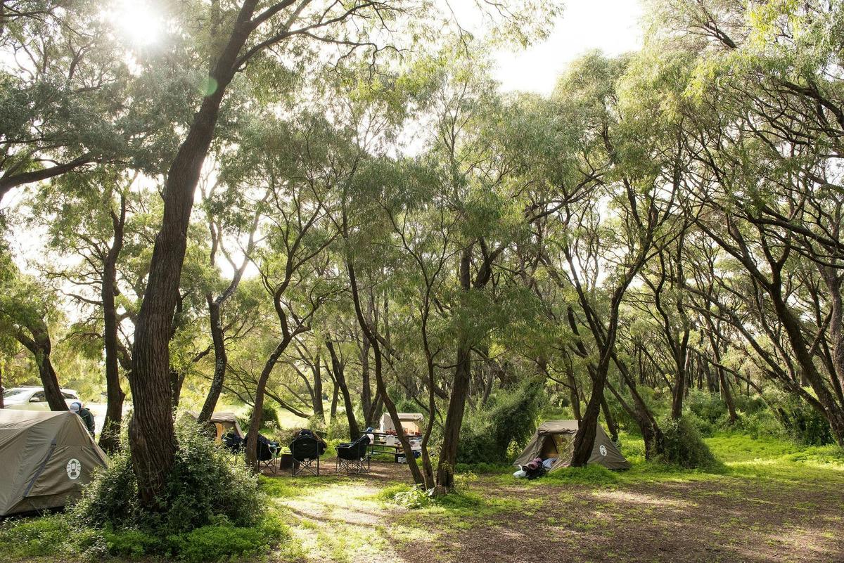 Contos Campsite