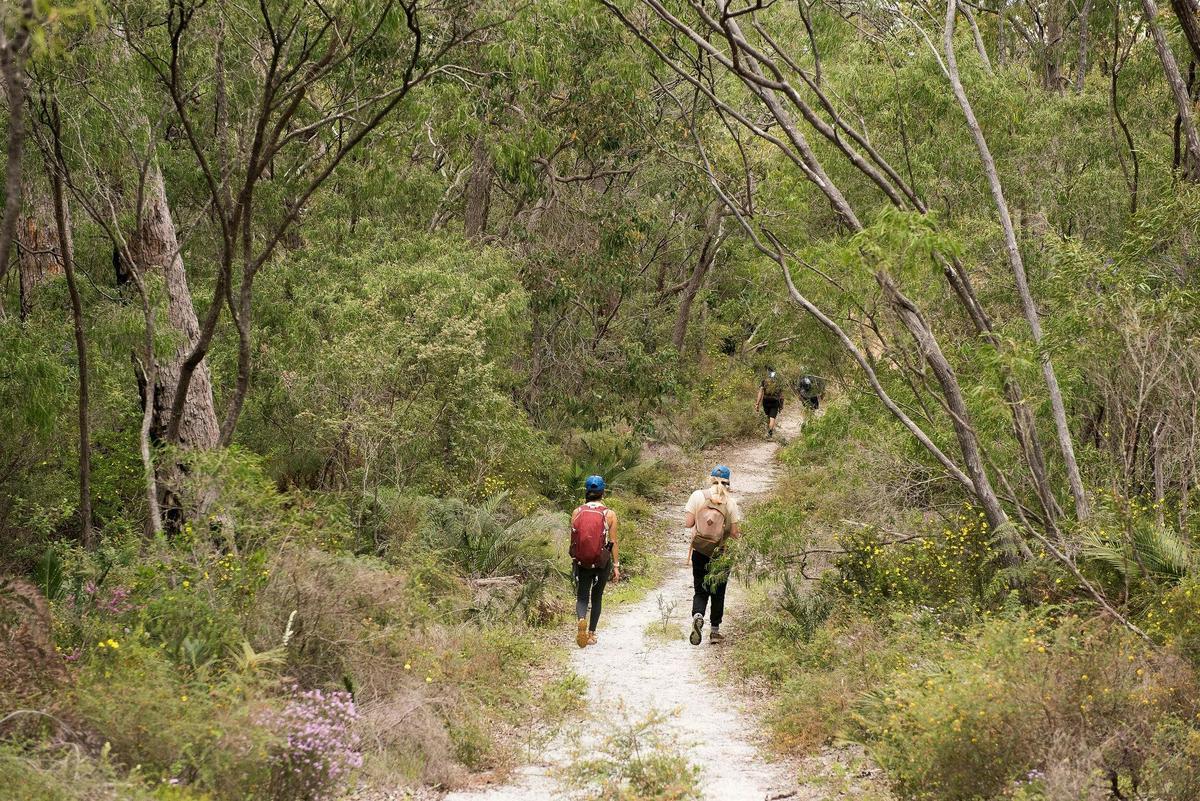 Cape2Camp Southern Explorer
