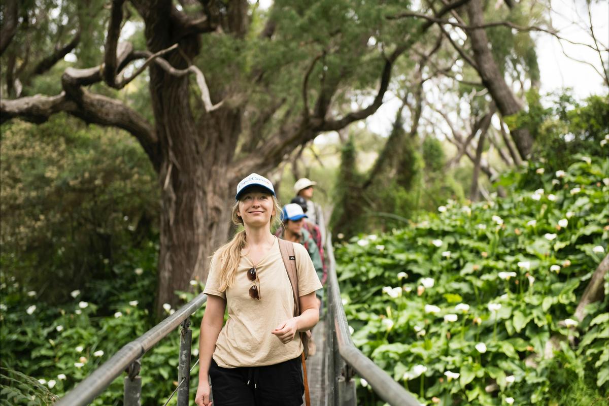 Cape2Camp Southern Explorer