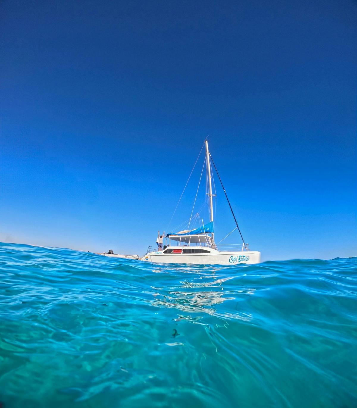 Snorkel Discovery