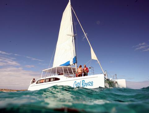 Snorkel Discovery
