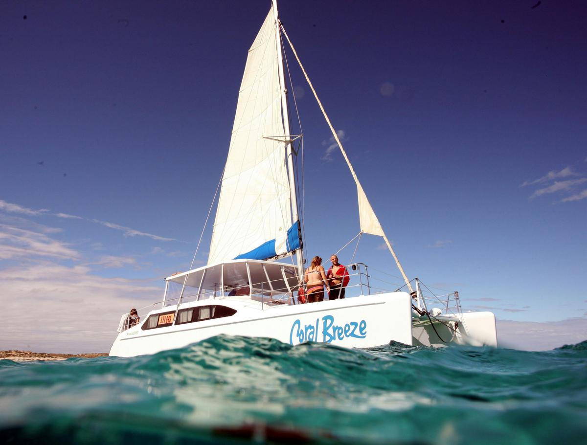 Snorkel Discovery
