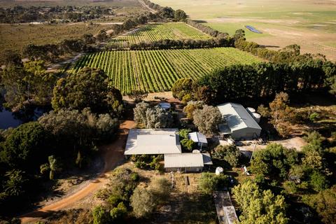 Condingup Vineyard