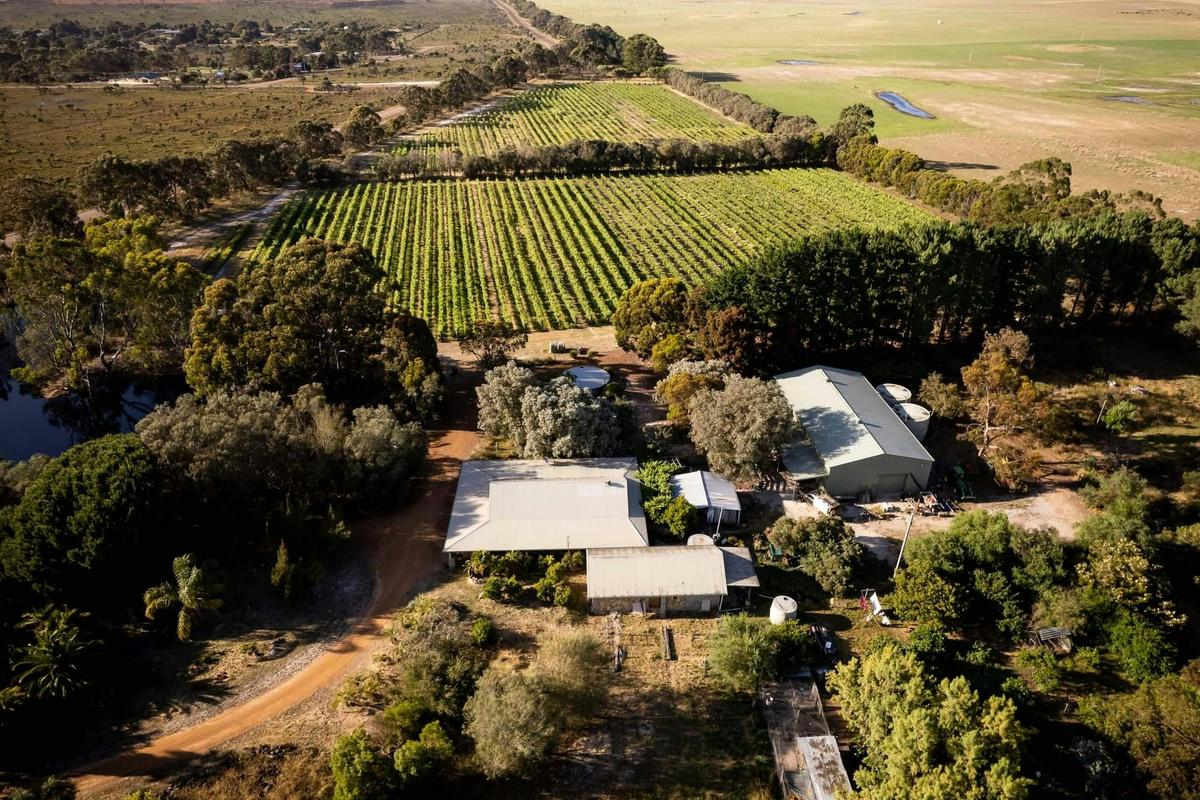 Condingup Vineyard