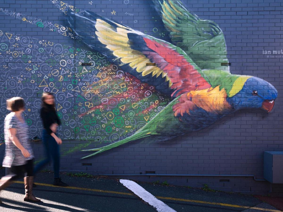 Parrot in Flight by Ian Mutch
