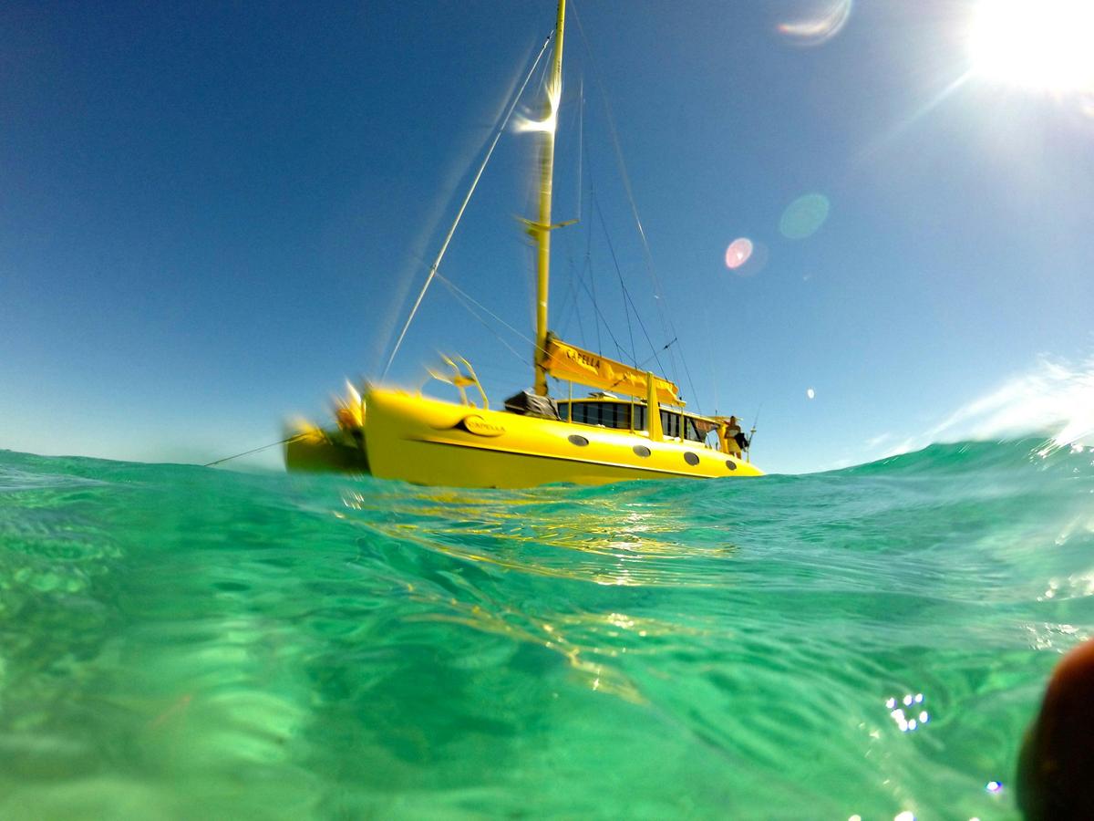 Carnac Island Eco-Tour