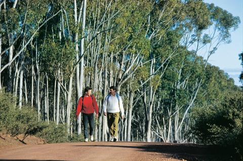Congelin Campground