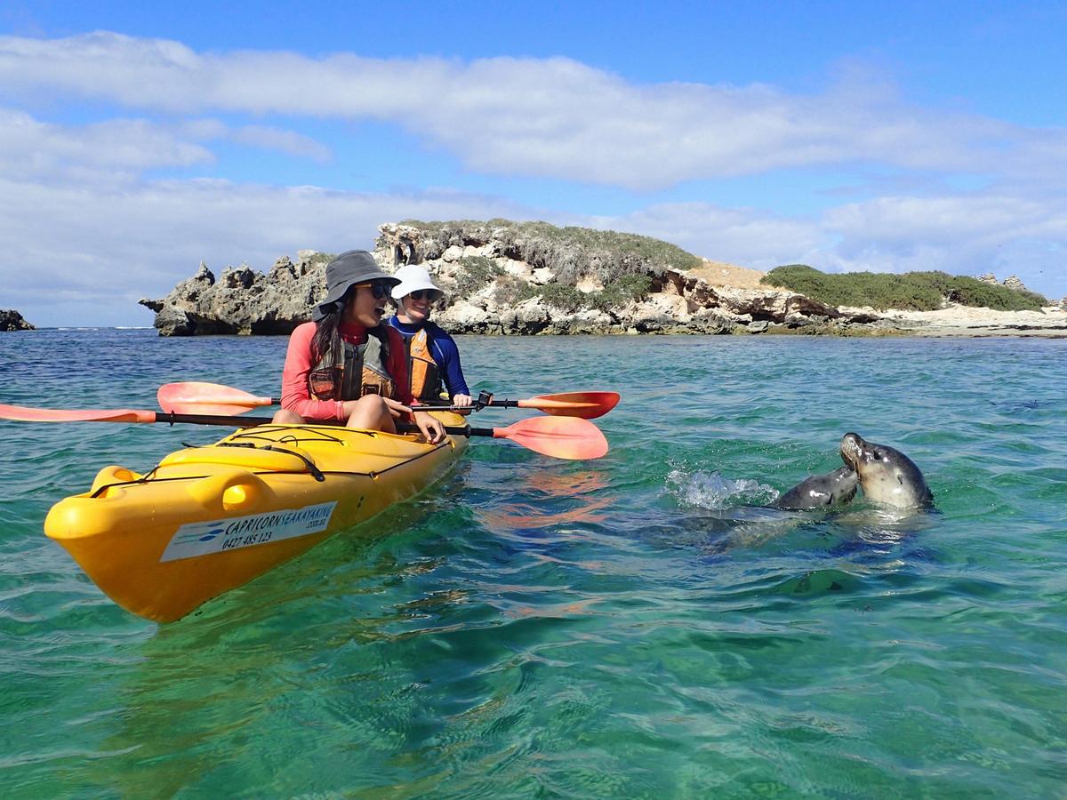 Seal lion visitors during tour