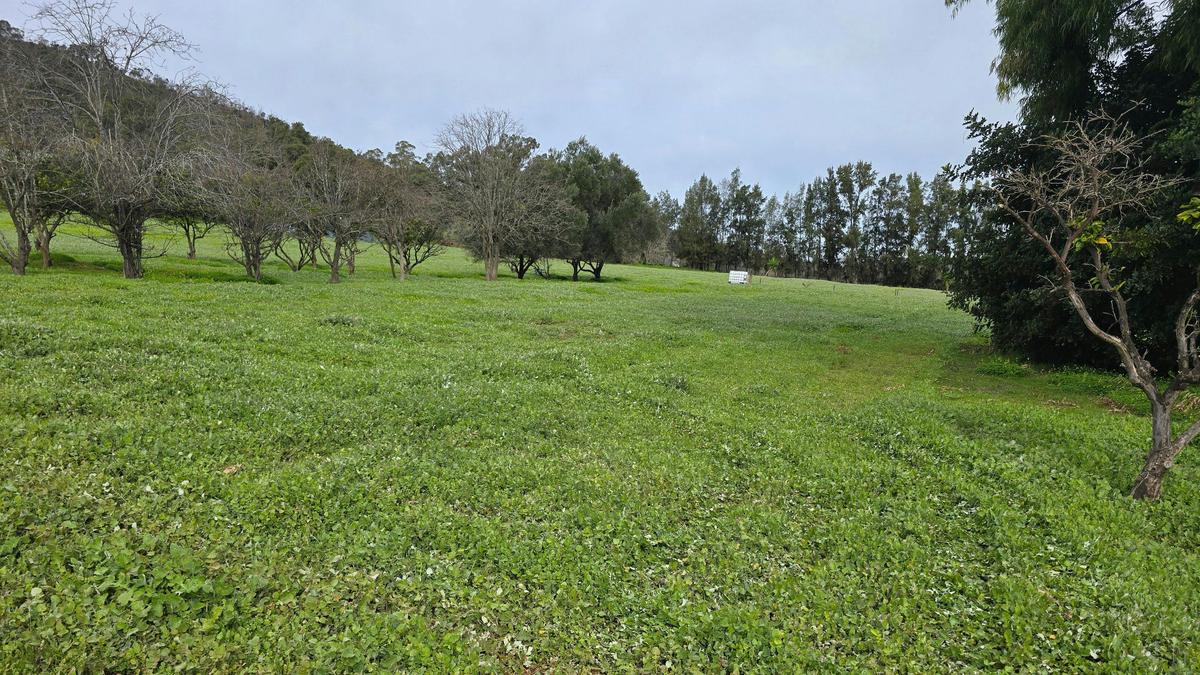 Citrus Park
