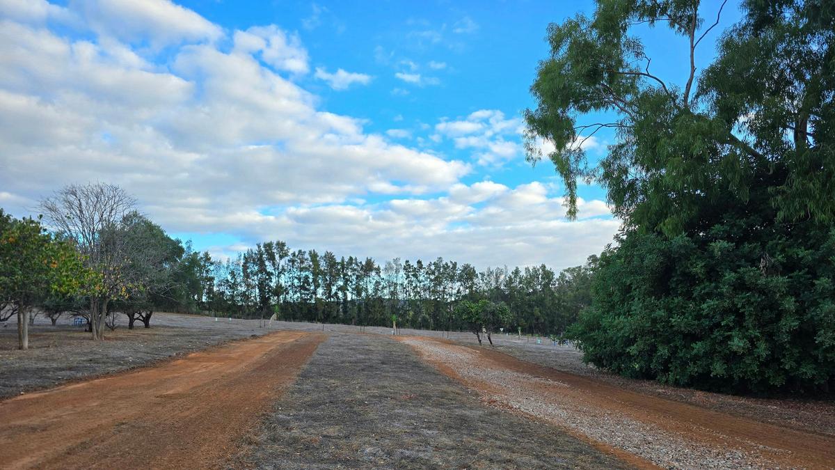 Citrus Park