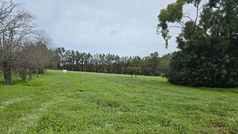 Citrus Park