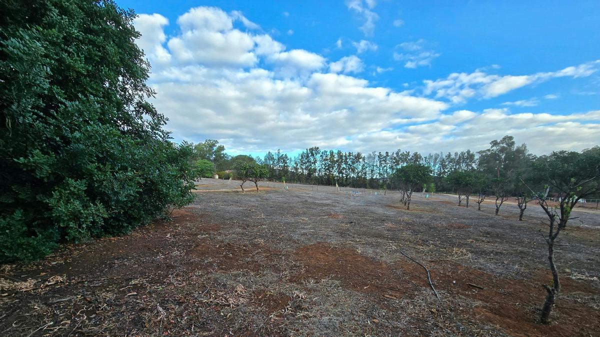 Citrus Park