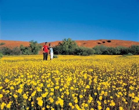 Coorow Farm Wildflower Trail