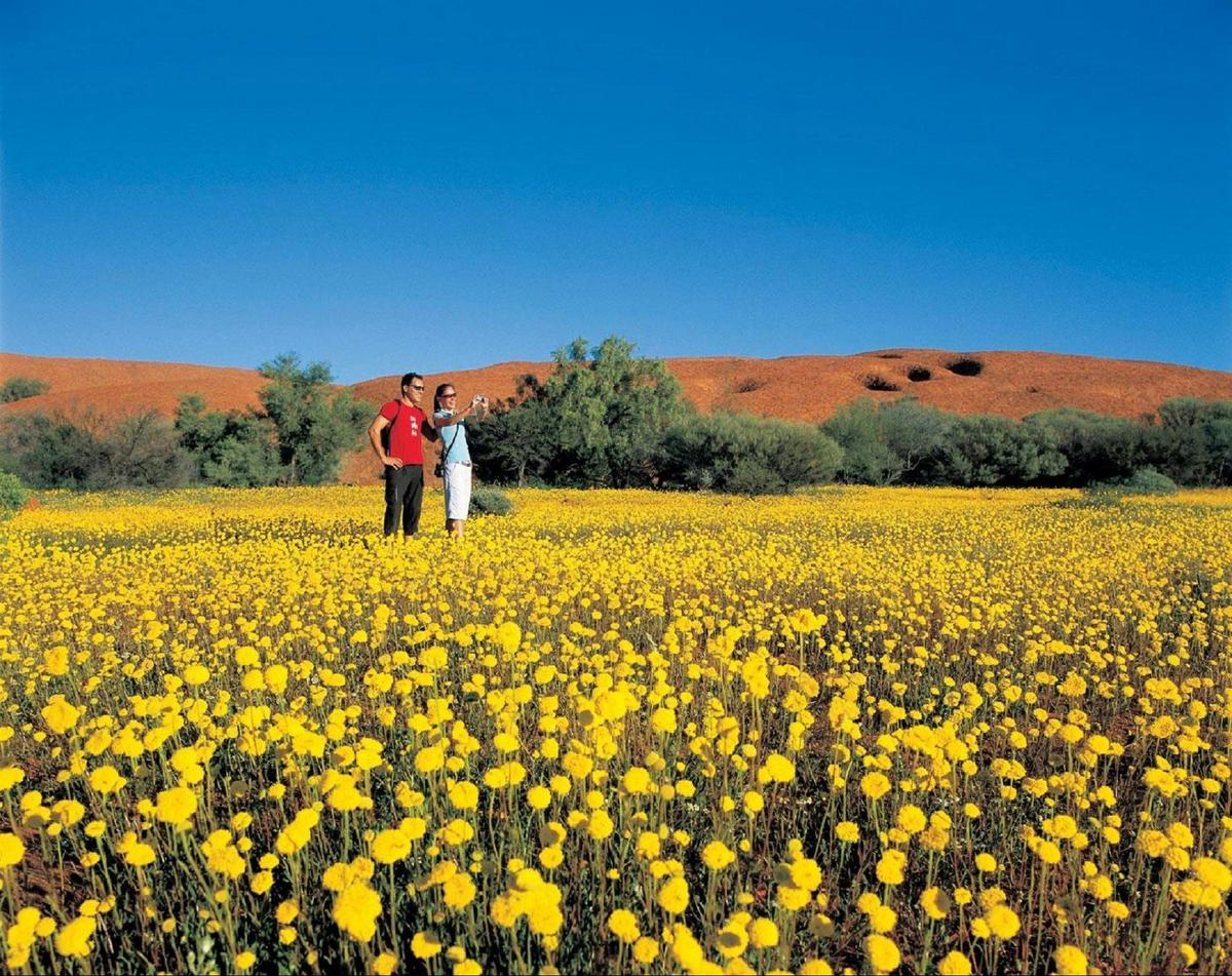 Coorow Farm Wildflower Trail, Coorow, Western Australia
