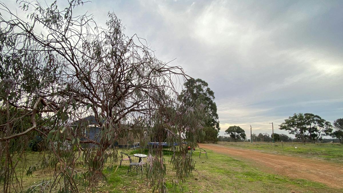 Clear View Farmstay and Camping