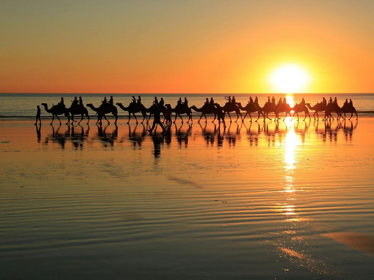 Camels on Cable Beach, Broome