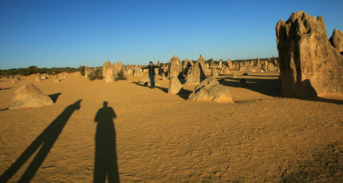 Numbung National Park (The Pinnacles)Photographic Day Tour
