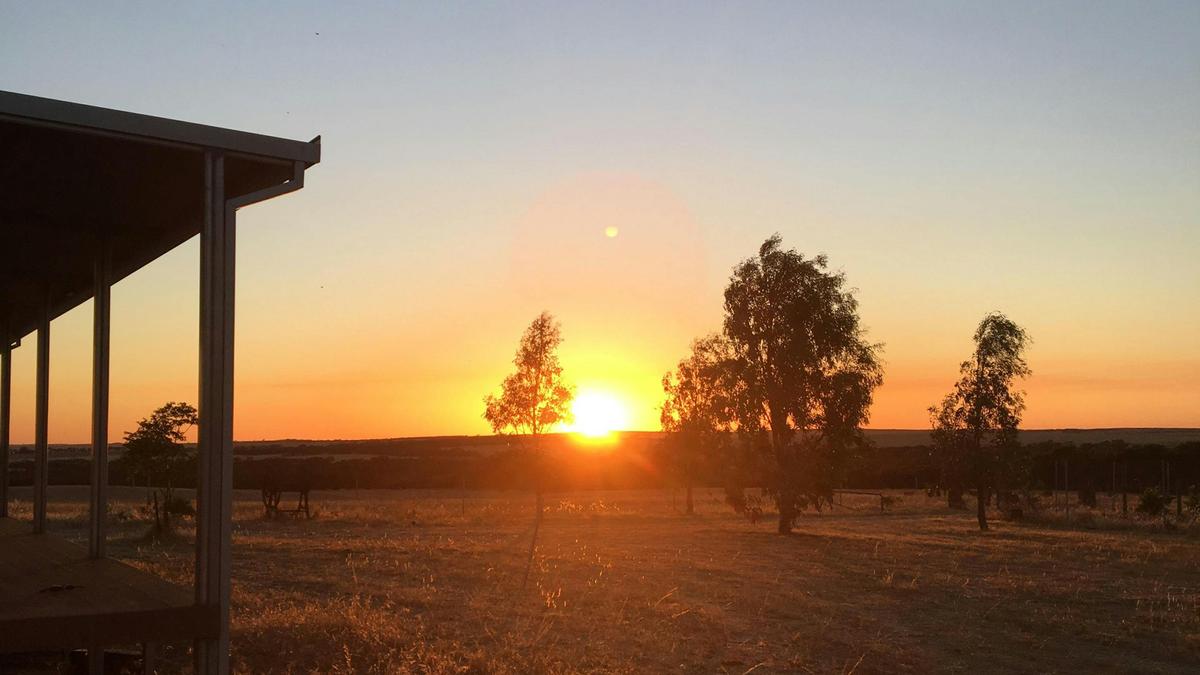 Clearview Farm