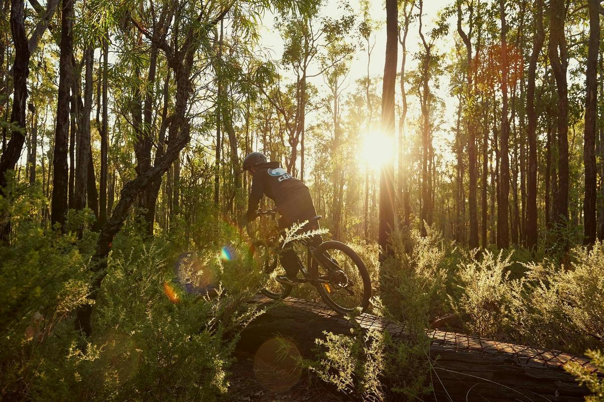 Arklow Trail Network, near Collie, Western Australia