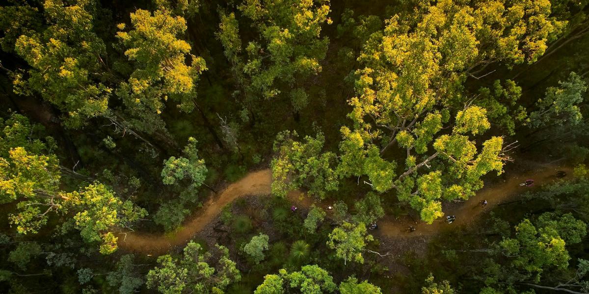 Arklow Trail Network, near Collie, Western Austrlia