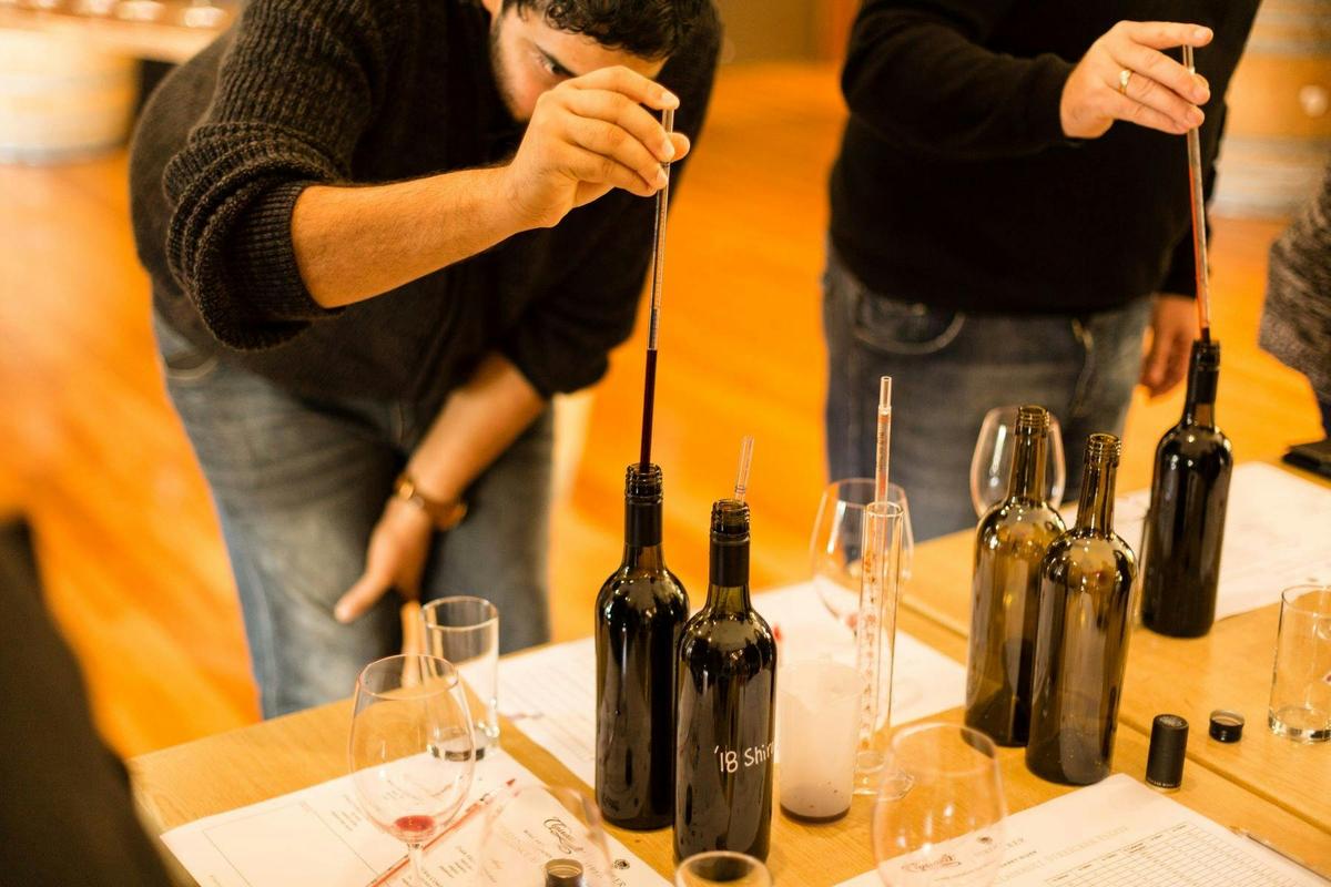 Blending Experiene