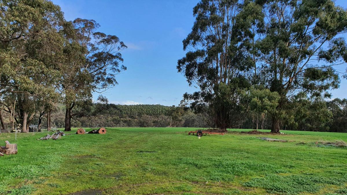Eddies Beach Farm, Forest Hill