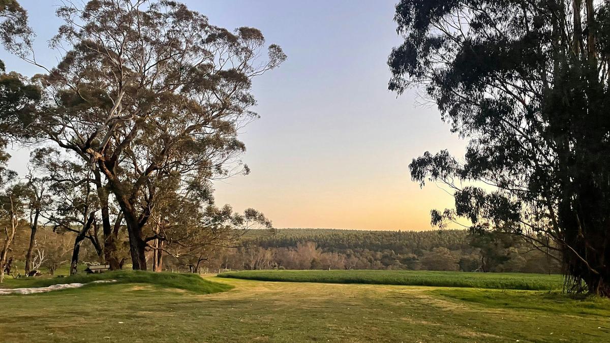 Eddies Beach Farm, Forest Hill