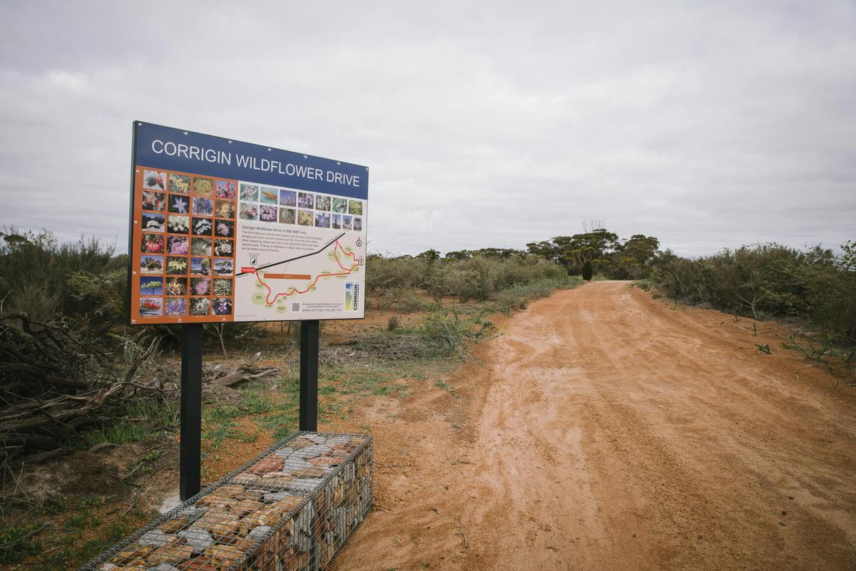 Wildflower Drive Entry