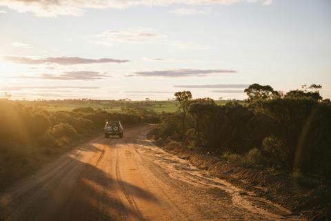 Corrigin Wildflower Drive