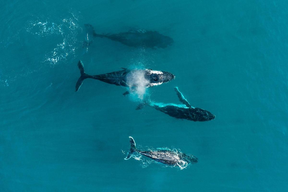 Dunsborough, Western Australia