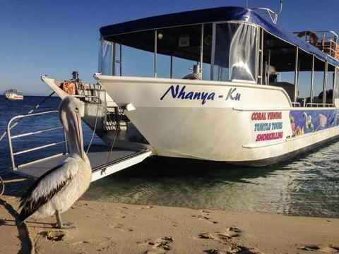 1 Hour Glass Bottom Boat Tour