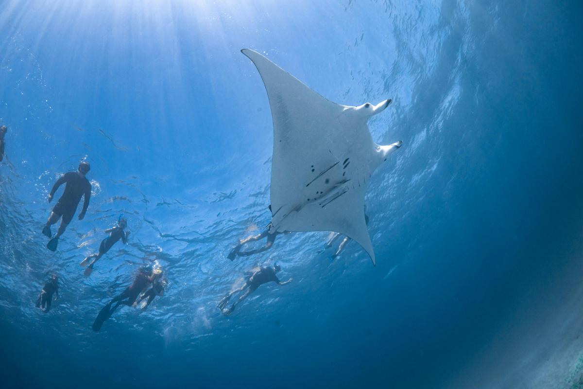 Marine Eco Safari