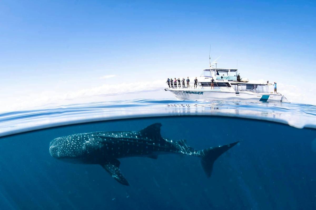 Cruising alongside giants
