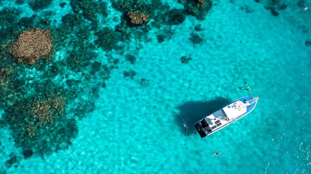 Thunder by the Reef