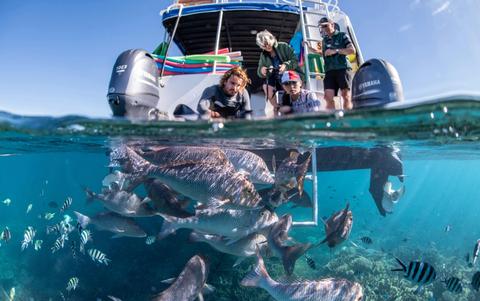 3 Hour Turtle Ecotour