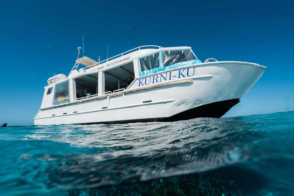 Marine Eco Safari