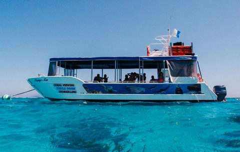 2 Hour Coral Viewing and Snorkeling