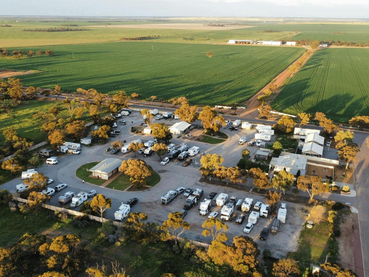 Spring Season at Dalwallinu Caravan Park