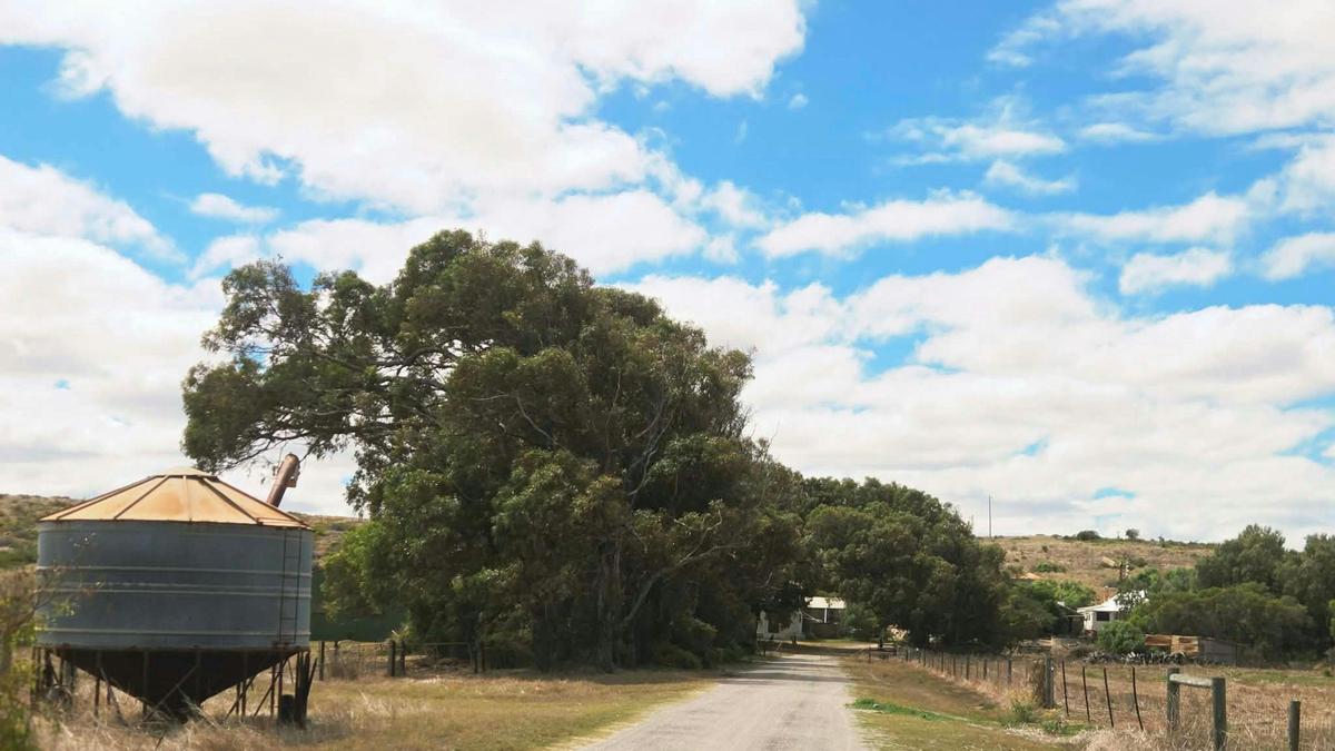 Donaville Farm