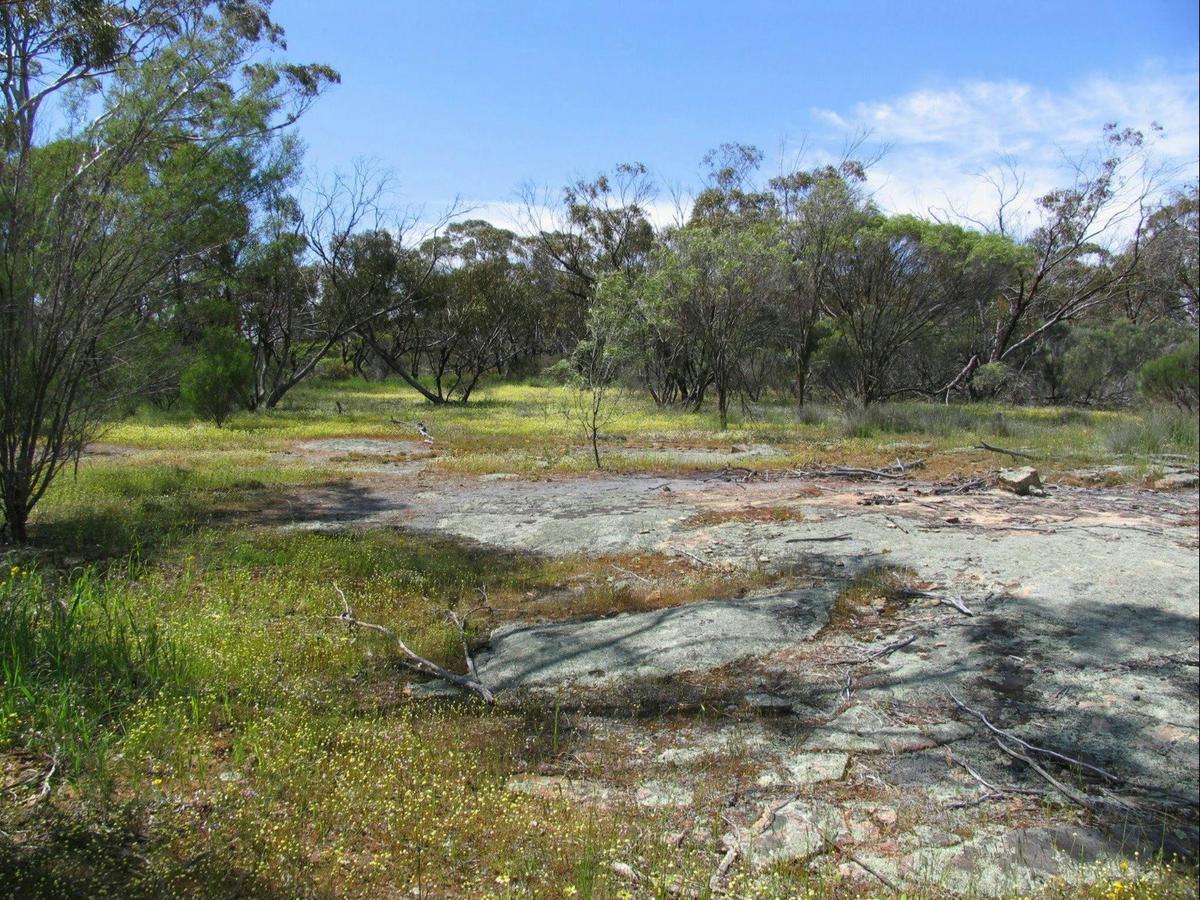 Christmas Rock Walk, Wongan Hills, Western Australia