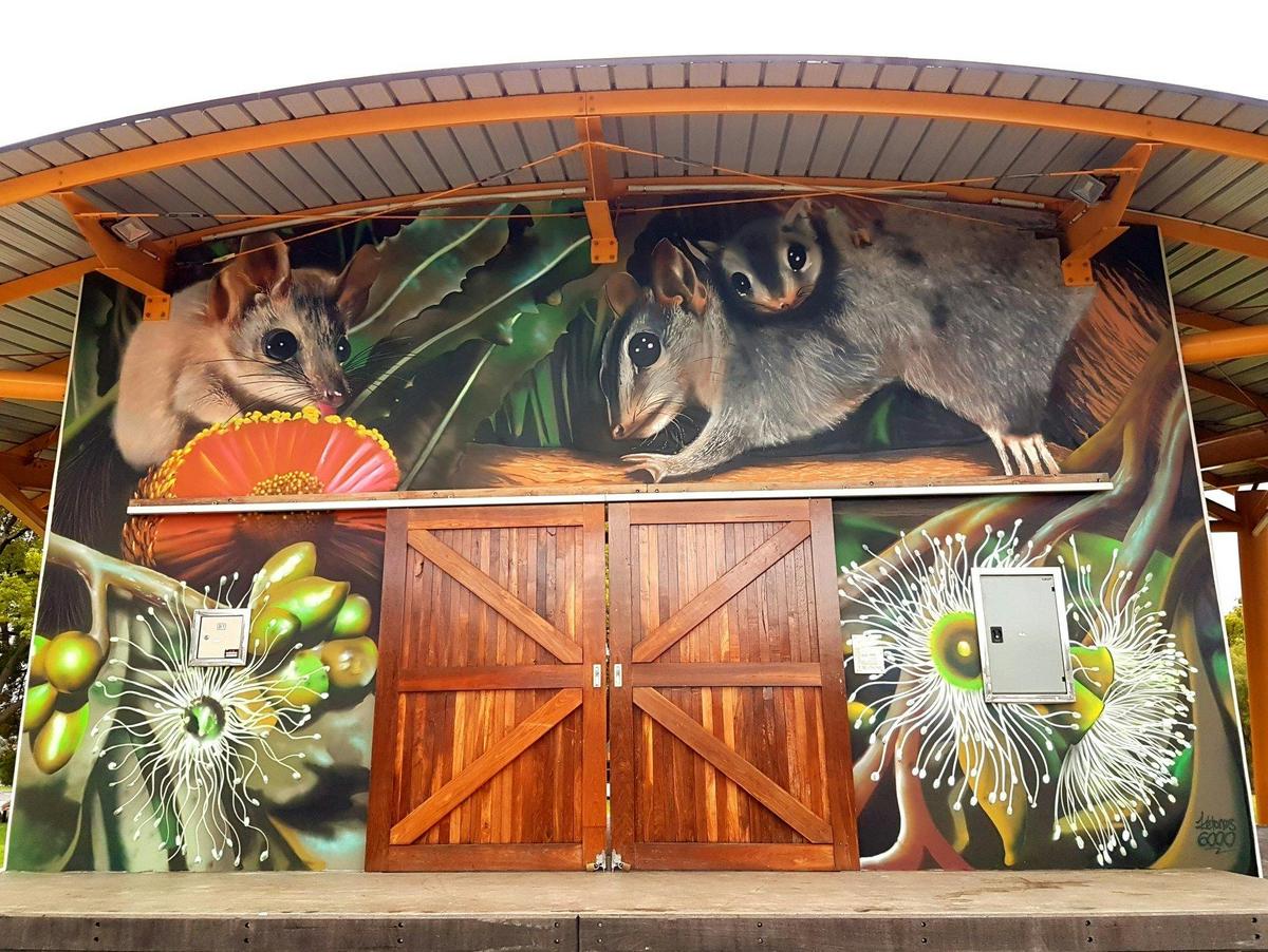 Collie Mural Trail, Collie, Western Australia