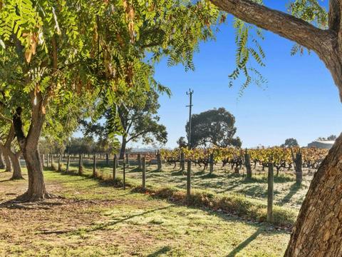 Discovery Parks - Swan Valley
